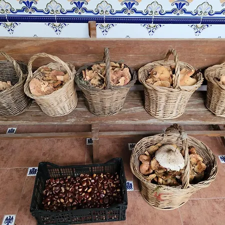 Casa Pozo Tarama *