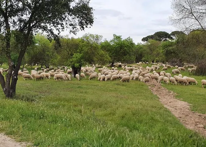 Casa Pozo Tarama Nyaraló Casavieja