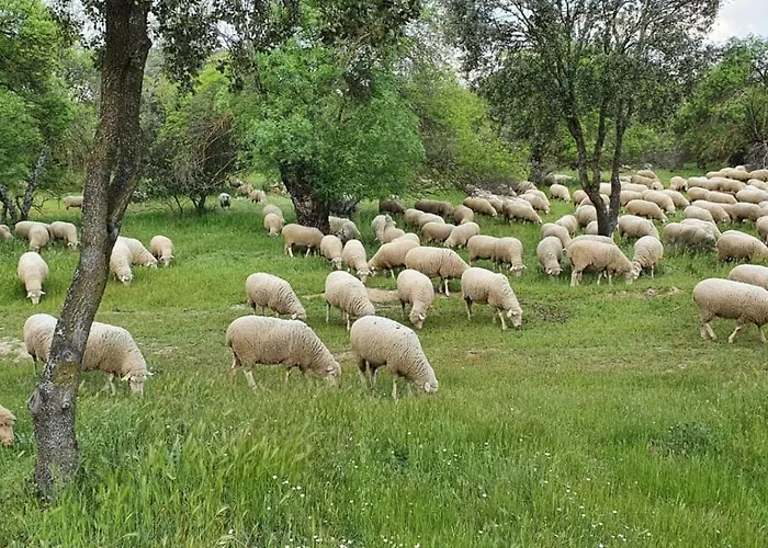 Nyaraló Casa Pozo Tarama Casavieja