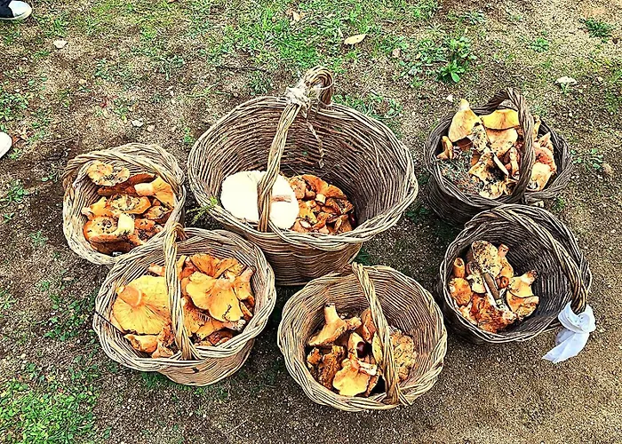 Casa Pozo Tarama * Casavieja